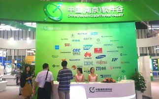 第十三屆中國南京國際軟件產(chǎn)品和信息服務(wù)交易博覽會盛大開幕，聚焦信息咨詢服務(wù)新趨勢